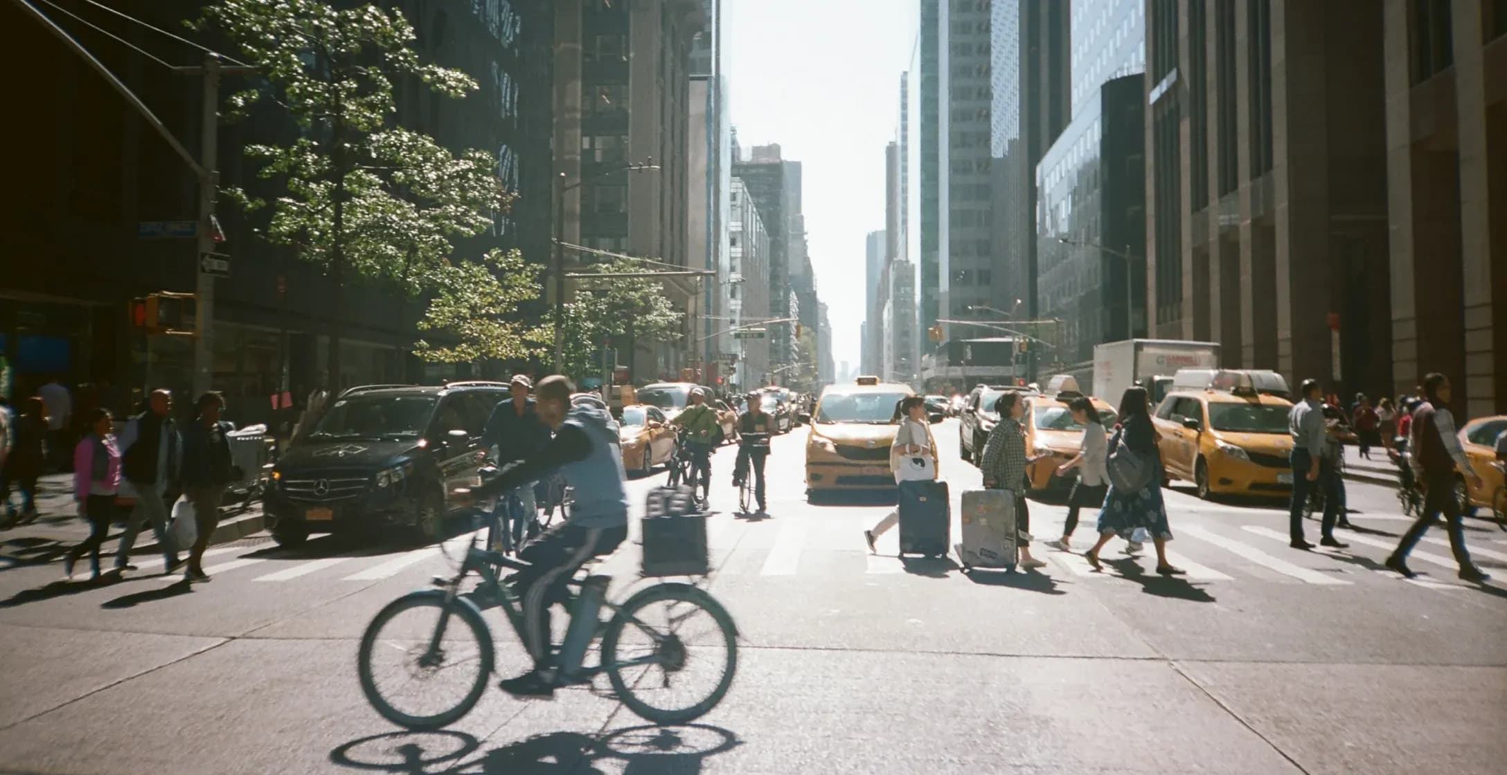 hero image